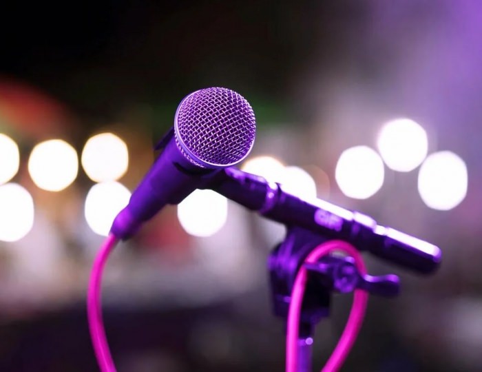 КАРАОКЕ - Парк-отель «Воздвиженское»