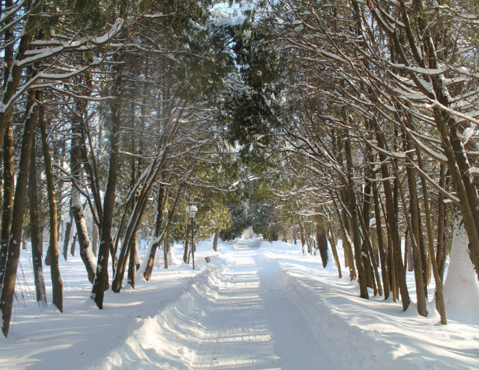 Внешний вид и территория - Парк-отель «Воздвиженское»
